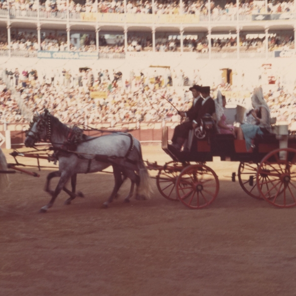 Concurso de enganches en la Plaza de Toros de la Malagueta 1970